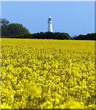 TA2570 : Flamborough Head Lighthouse by Mat Fascione