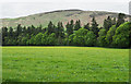 Parkland at Blair Castle