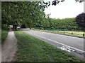 Road in Lyme Valley Park