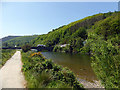 Beside Afon Dyfi