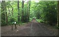 Selwyns Wood Car Park