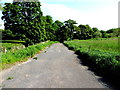 Lane, Castle Irvine Demesne