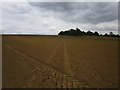 Bridleway to Market Overton