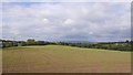 Arable land, Grithill