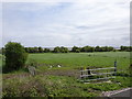 View from a Chester-Holyhead train - Farm crossing to The Marsh