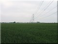 Electricity transmission line