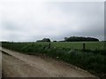 TA0775 : Track  to  Hunmanby  Grange  farm by Martin Dawes