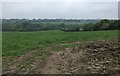 Field near Burnt Oak Farm