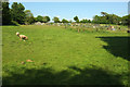 Garden Field, Buckland Abbey