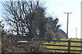 A Cornish hedge