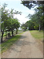 Track near Kemsdale Road, Hernhill