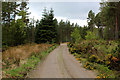 NH7376 : On a Forest Track North of Dalnaclach by Chris Heaton