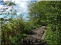 Path by the River Clyde at Old Kilpatrick