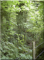 The stream along Church Road