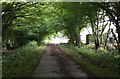 Approaching Dower House Farm