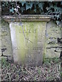 Old Milepost by the B3110, Bath Road, north of Norton St Philip