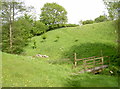 The valley behind Yewtree Farm