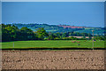 Taunton Deane : Ploughed Field