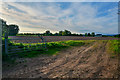 Taunton Deane : Ploughed Field