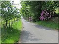 Old Mount Road near Netherley