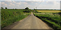 Road to Downmoor Cross