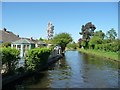 Canalside back gardens at Highbridge