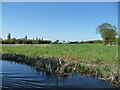 Farmland east of Pelsall Common