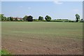 Arable field and New House Farm