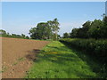 TM3193 : Public Footpath on Field margin near Hall Farm, Ditchingham by Roger Jones