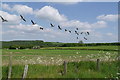 SE3042 : Geese flying over farmland, Eccup by Rich Tea