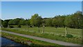 Paddock on the bank of the Wyrley & Essington Canal