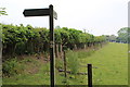 Footpath above Yew Tree Farm