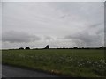 Field by Holwell Road east of Pirton