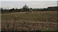 Late December in Lower Boulsdon, Gloucestershire