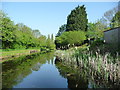 Overflow weir, Wyrley & Essington Canal