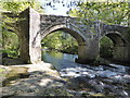 River Dart and New Bridge