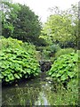 The cascade pools in Sandford Park