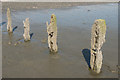 Groyne remains, Bracklesham Bay Beach