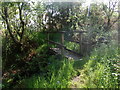 Footbridge on the path through Coed Swch y Pentre