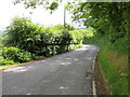 Hedge-lined road (B4577) near Belchgwyt