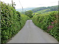 Road descending to Neuadd-Lwyd