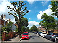 Mount Park Road, Ealing