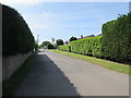 Hedge-lined Farmfield Lane, Nash