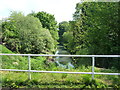 SO8885 : River Stour, from the Stourbridge Canal aqueduct by Christine Johnstone