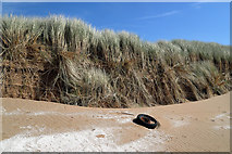 NX9155 : Mersehead Sands by Walter Baxter