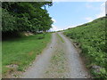 Track used by Bridleway heading to Pant-y-chwarel