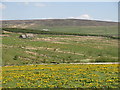 The valley of Wellhope Burn below Whitestone House (2)