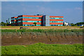 Sedgemoor : River Parrett