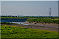 Sedgemoor : River Parrett