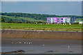 Sedgemoor : River Parrett